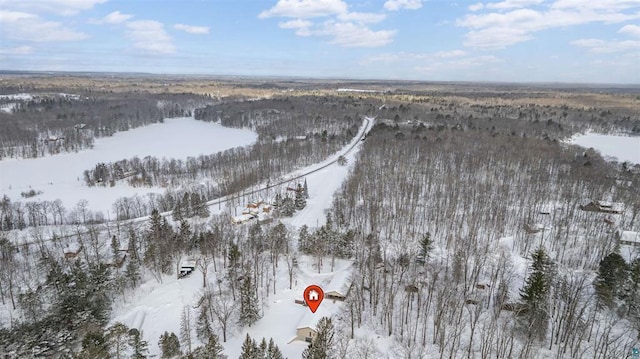 9505 Buskey Bay Dr, Iron River, WI 54847 - view of snowy aerial view