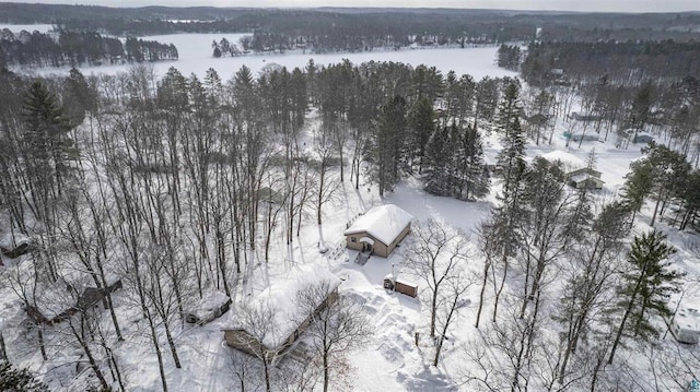 9505 Buskey Bay Dr, Iron River, WI 54847 - snowy aerial view with a forest view