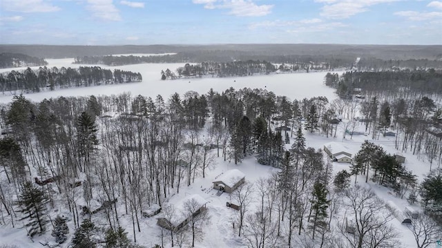 9505 Buskey Bay Dr, Iron River, WI 54847 - view of snowy aerial view