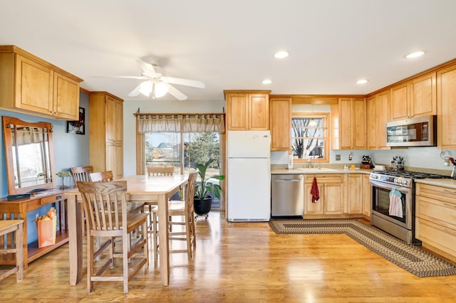 kitchen with sink, a wealth of natural light, stainless steel appliances, and light wood-type flooring