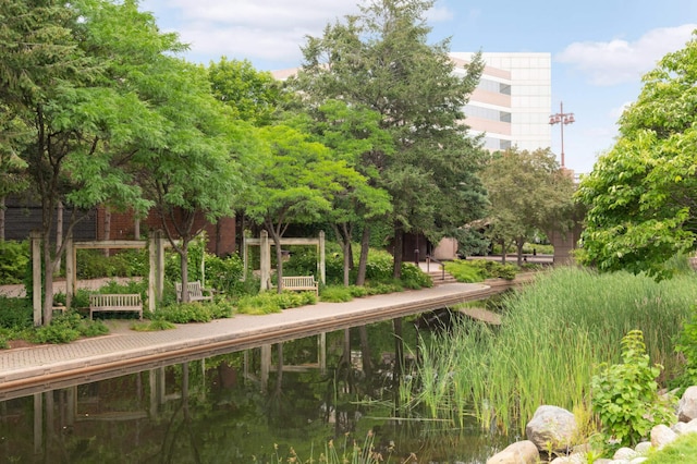 view of home's community with a water view