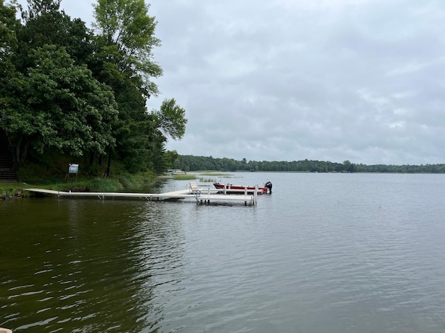 water view featuring a dock