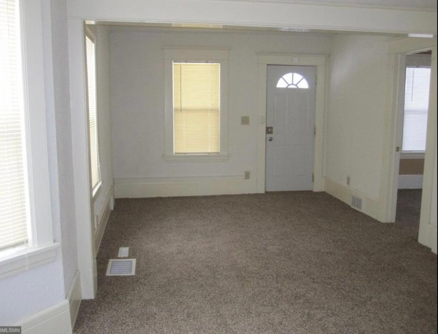 foyer featuring carpet and a wealth of natural light