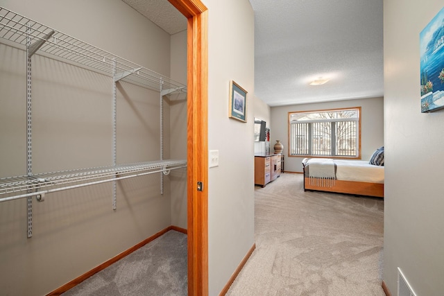 spacious closet with light carpet