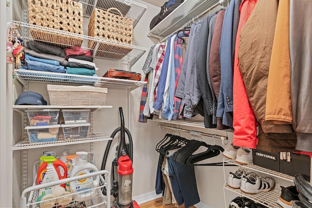 spacious closet featuring wood-type flooring