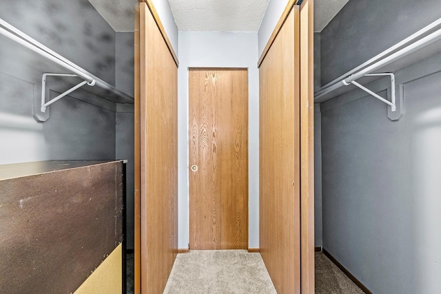 spacious closet with carpet