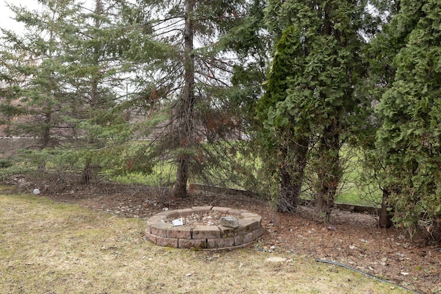 view of yard with an outdoor fire pit