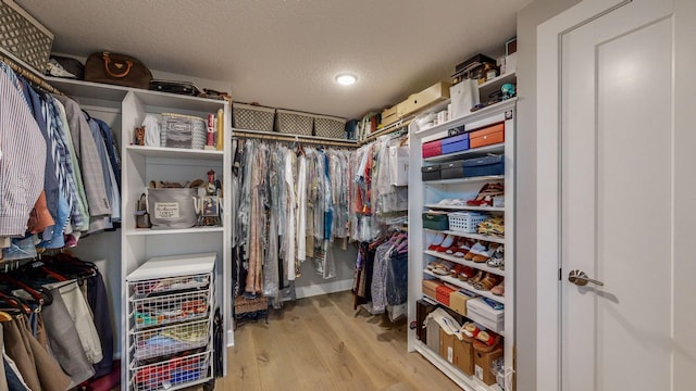 spacious closet featuring light wood-type flooring