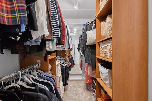 walk in closet featuring carpet flooring