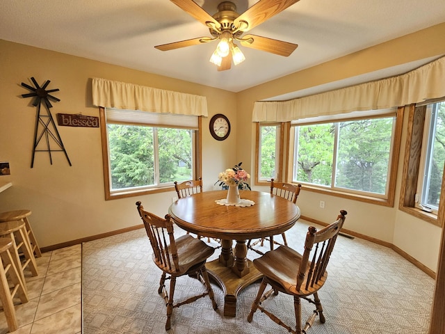8785 Ilex Pl NW, Rice, MN 56367 - dining room featuring healthy amount of natural light, baseboards, and ceiling fan