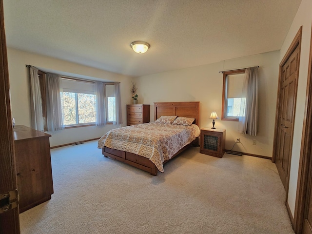 8785 Ilex Pl NW, Rice, MN 56367 - bedroom with light colored carpet, multiple windows, baseboards, and a textured ceiling