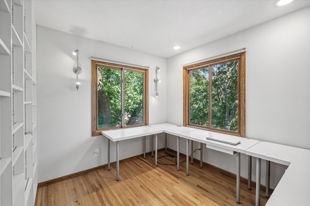 office with light hardwood / wood-style floors and a healthy amount of sunlight