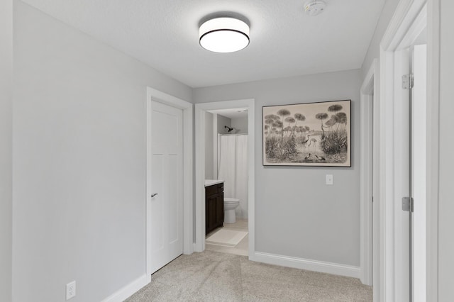 hall featuring light carpet and a textured ceiling