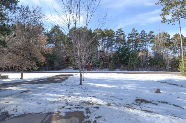 view of snowy yard