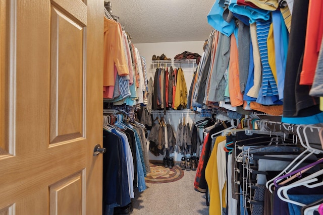 spacious closet with carpet