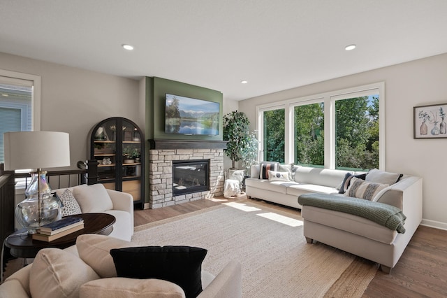 living room featuring wood-type flooring and a fireplace