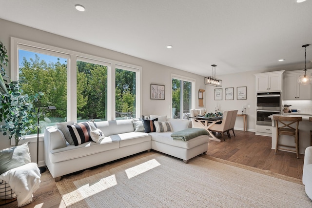 living room featuring light hardwood / wood-style flooring