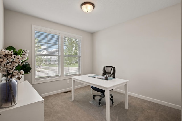 home office featuring carpet flooring