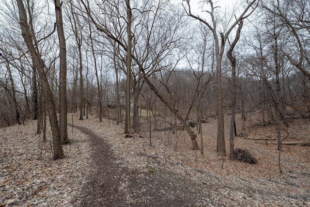 view of local wilderness