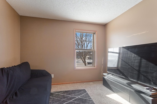 interior space featuring carpet and a textured ceiling