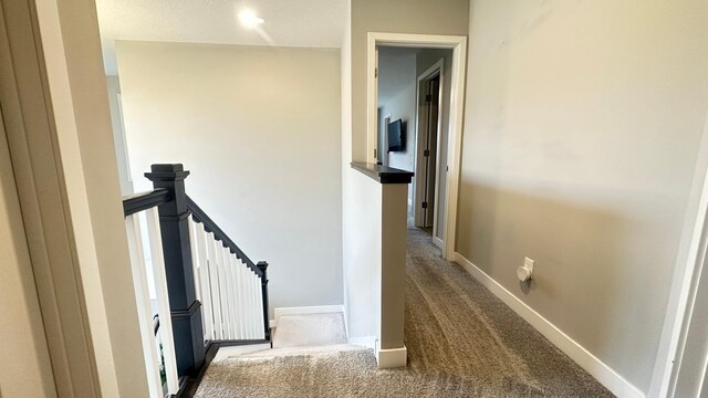 18303 Glassner Way, Lakeville, MN 55044 - photo 9