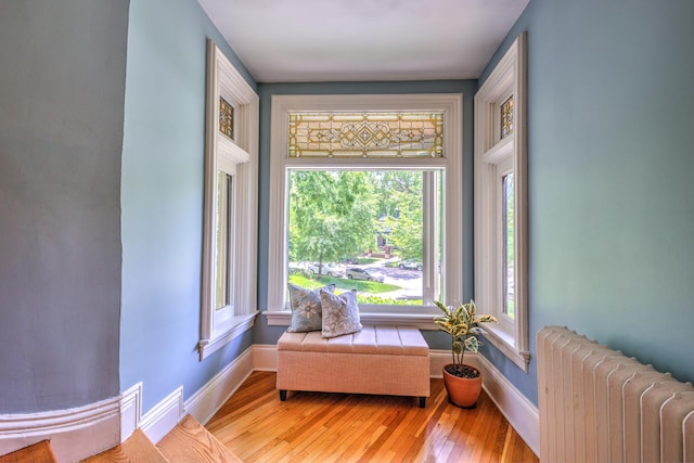 living area with radiator heating unit and light hardwood / wood-style flooring