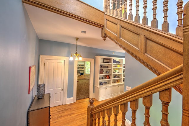 staircase featuring wood-type flooring