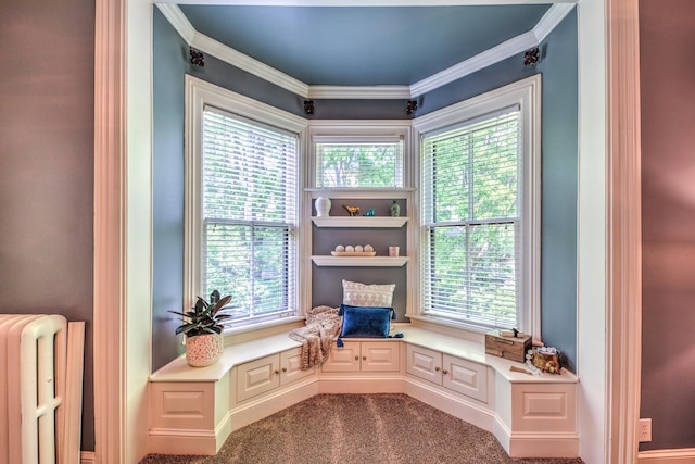 sitting room featuring ornamental molding, radiator heating unit, and carpet flooring