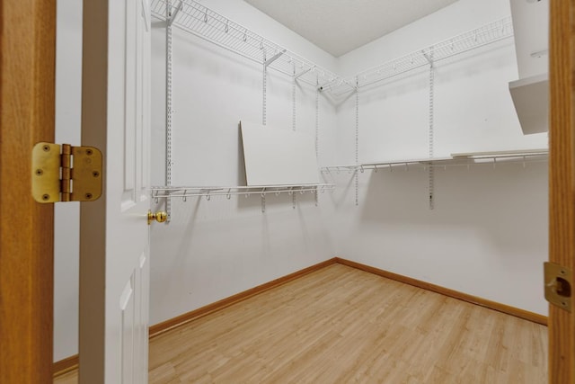 walk in closet featuring wood-type flooring