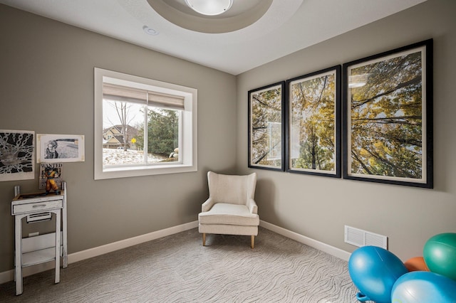 sitting room with carpet flooring