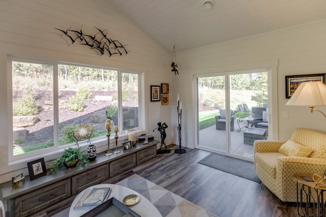 living room with lofted ceiling and dark wood-type flooring