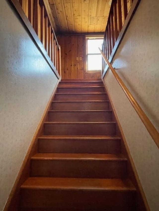 stairway with wood ceiling