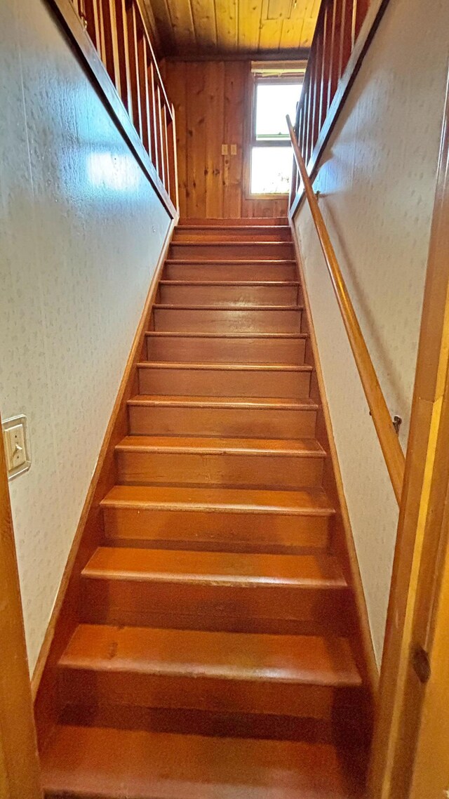 431 Humphrey St, Lake Crystal, MN 56055 - photo 27