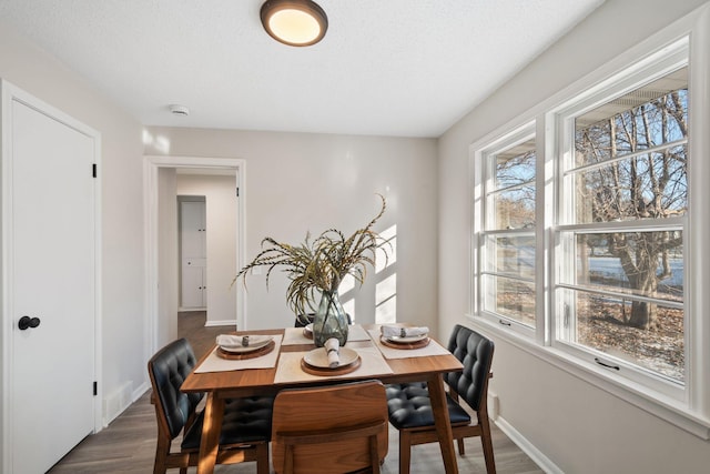 dining room with dark hardwood / wood-style floors and a textured ceiling