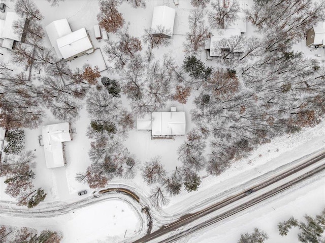 view of snowy aerial view