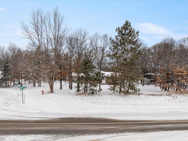 view of snowy yard