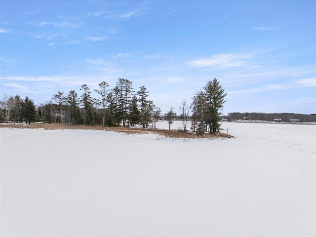 view of yard layered in snow