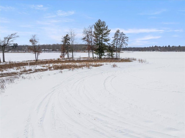 view of snowy yard