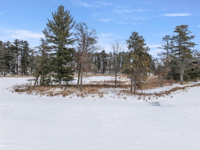 view of yard covered in snow