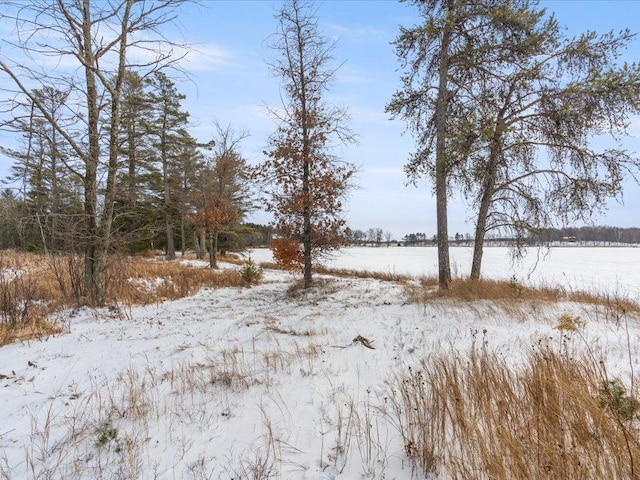 view of yard covered in snow