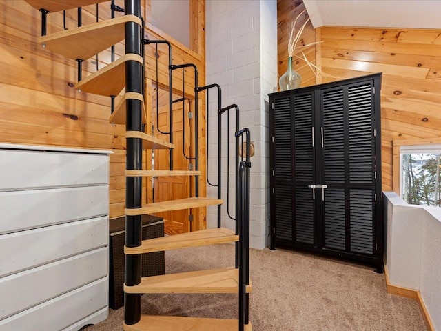 stairs with carpet and wood walls