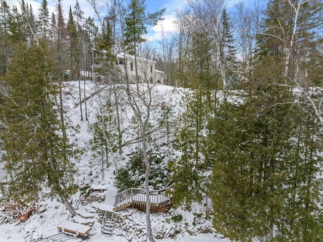 view of snow covered land