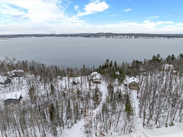 snowy aerial view featuring a water view