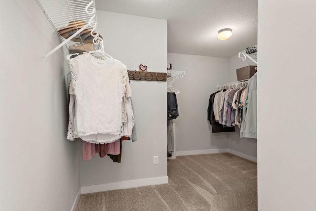 spacious closet featuring light colored carpet