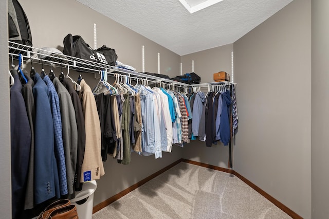 walk in closet with carpet floors