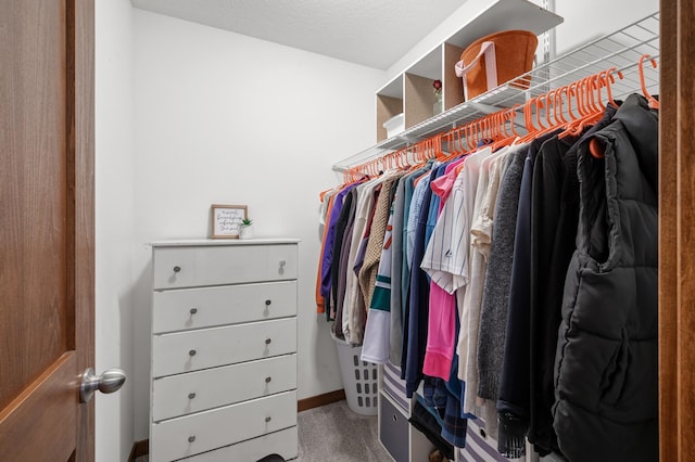 walk in closet featuring carpet