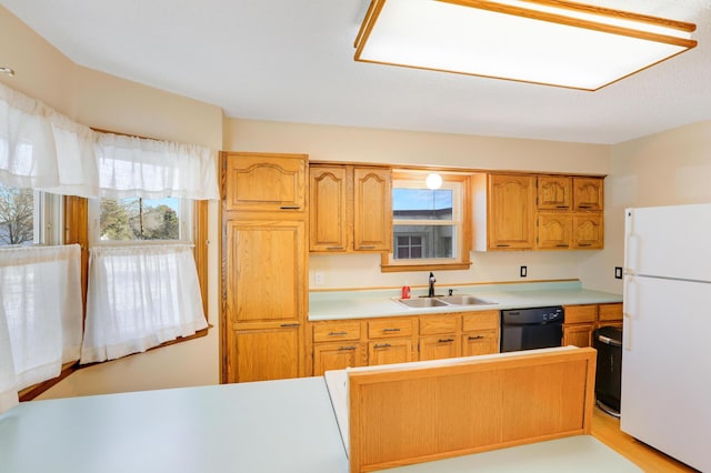 kitchen featuring sink, dishwasher, and white fridge