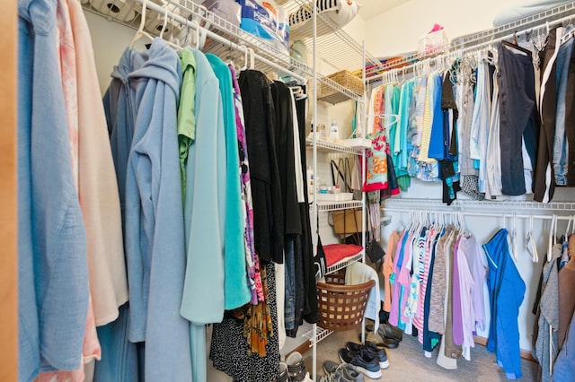 spacious closet featuring carpet flooring