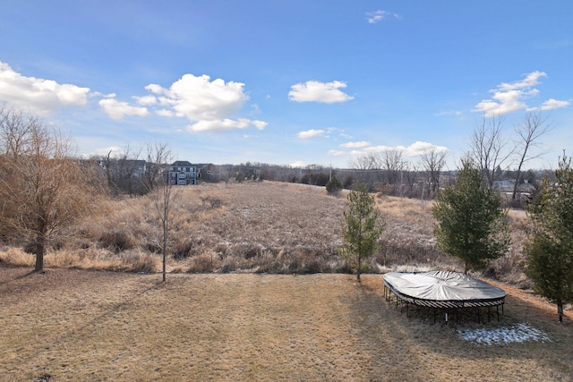 view of yard with a rural view