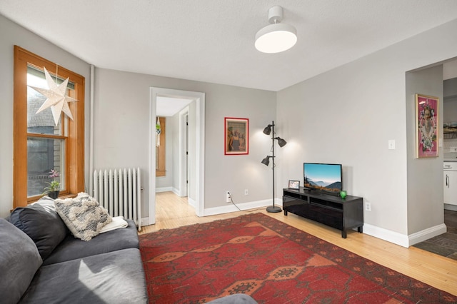 living room featuring wood-type flooring and radiator